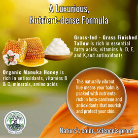 ProSeed Holistic Wellness frankincense and turmeric ingredients highlight natural skincare power