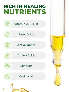 Pura Vida Moringa Seed Oil bottle hue shows golden-green unrefined quality.
