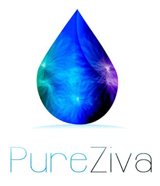 Pure Ziva cruelty-free eyeshadow swatch reflecting buildable intensity.