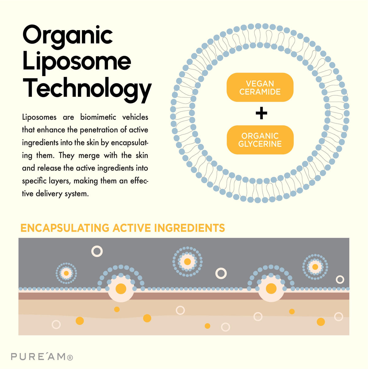  PURE’AM vitamins A, B, C, E contributing to a healthy glow