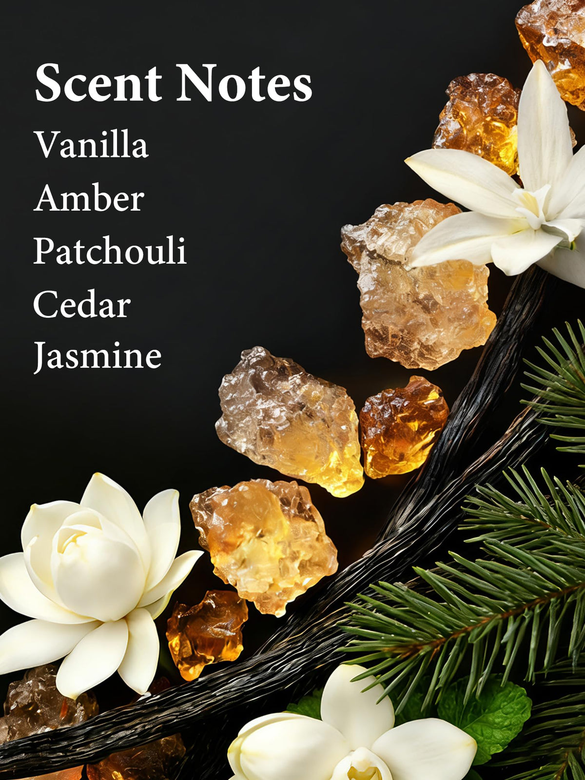 PUREAMOR Amber Vanilla packaging highlights premium gift-ready presentation.