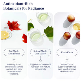 PUREANCE babchi oil drop indicating gentle plant-based anti-aging potential.