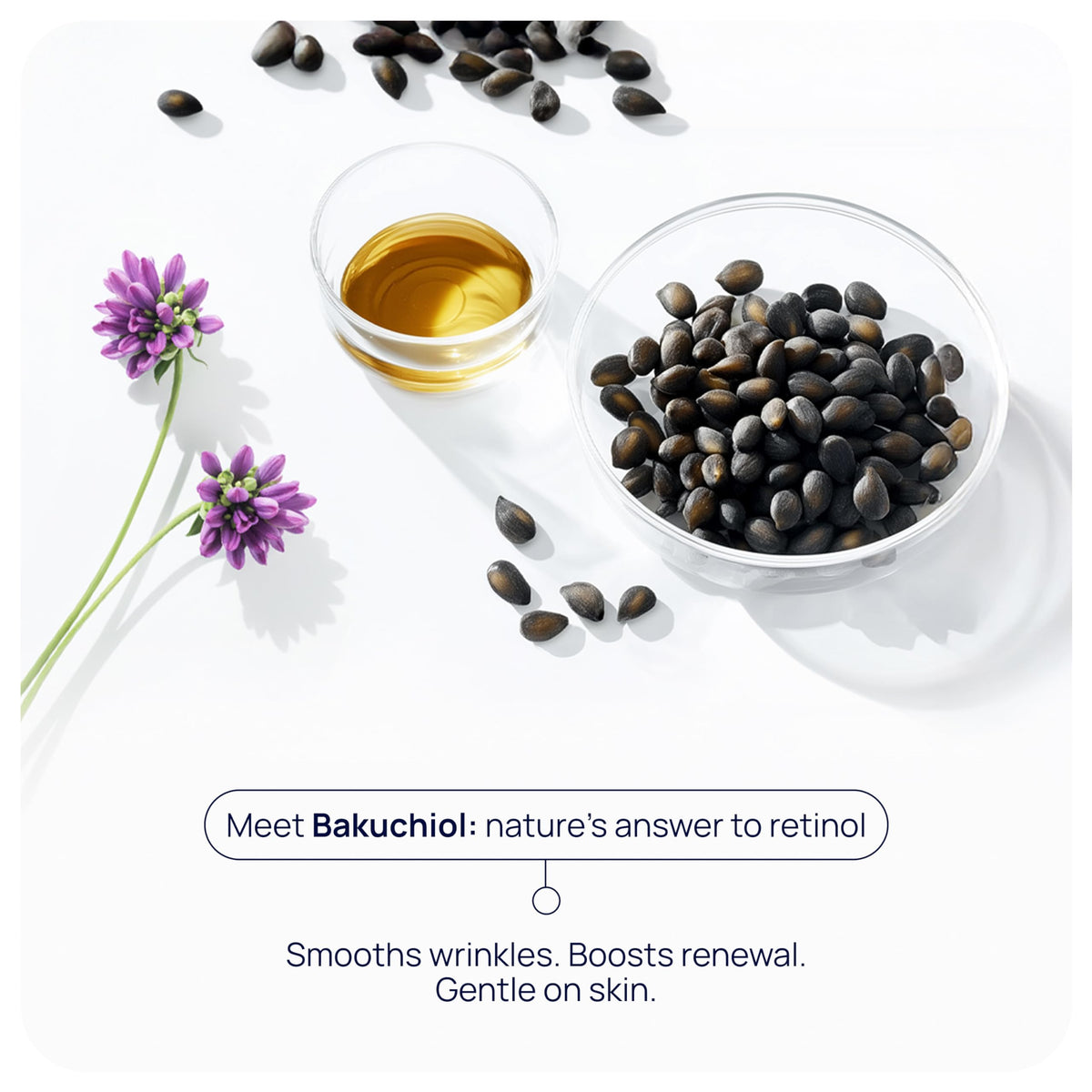 PUREANCE serum texture close-up highlighting a silky, fast-absorbing finish.