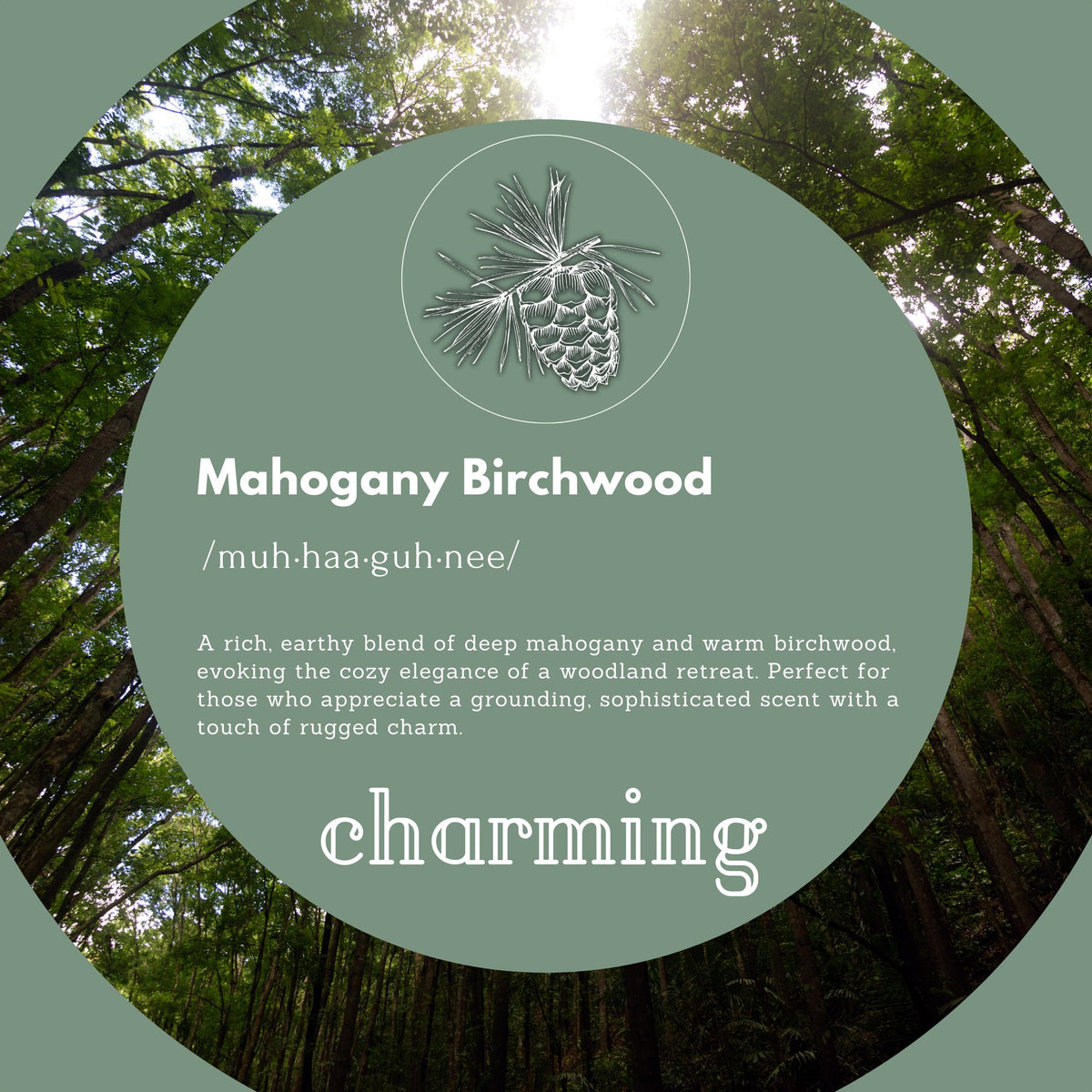 Close-up of Puremax Mahogany Birchwood foam showing a light, refreshing scent.
