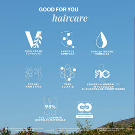 Shine emphasis image reflecting renewed gloss on color-treated tresses.