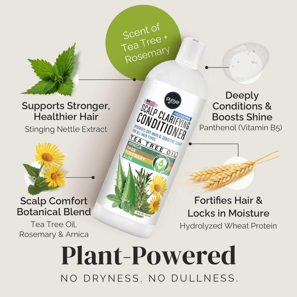 Puriya daily-use conditioner supports color-treated hair without sulfates.