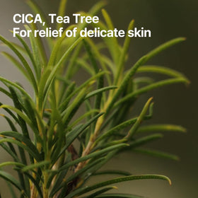 Centella Asiatica and tea tree soothe, part of Pyunkang Yul PKY mask