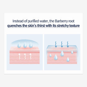 Applying Pyunkang Yul PKY Moisture Ampoule demonstrates easy daily layering for hydration.