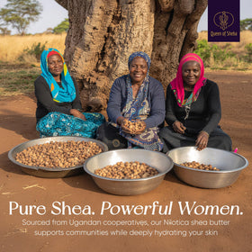 Queen of Shea Uganda nilotica shea butter from East Africa