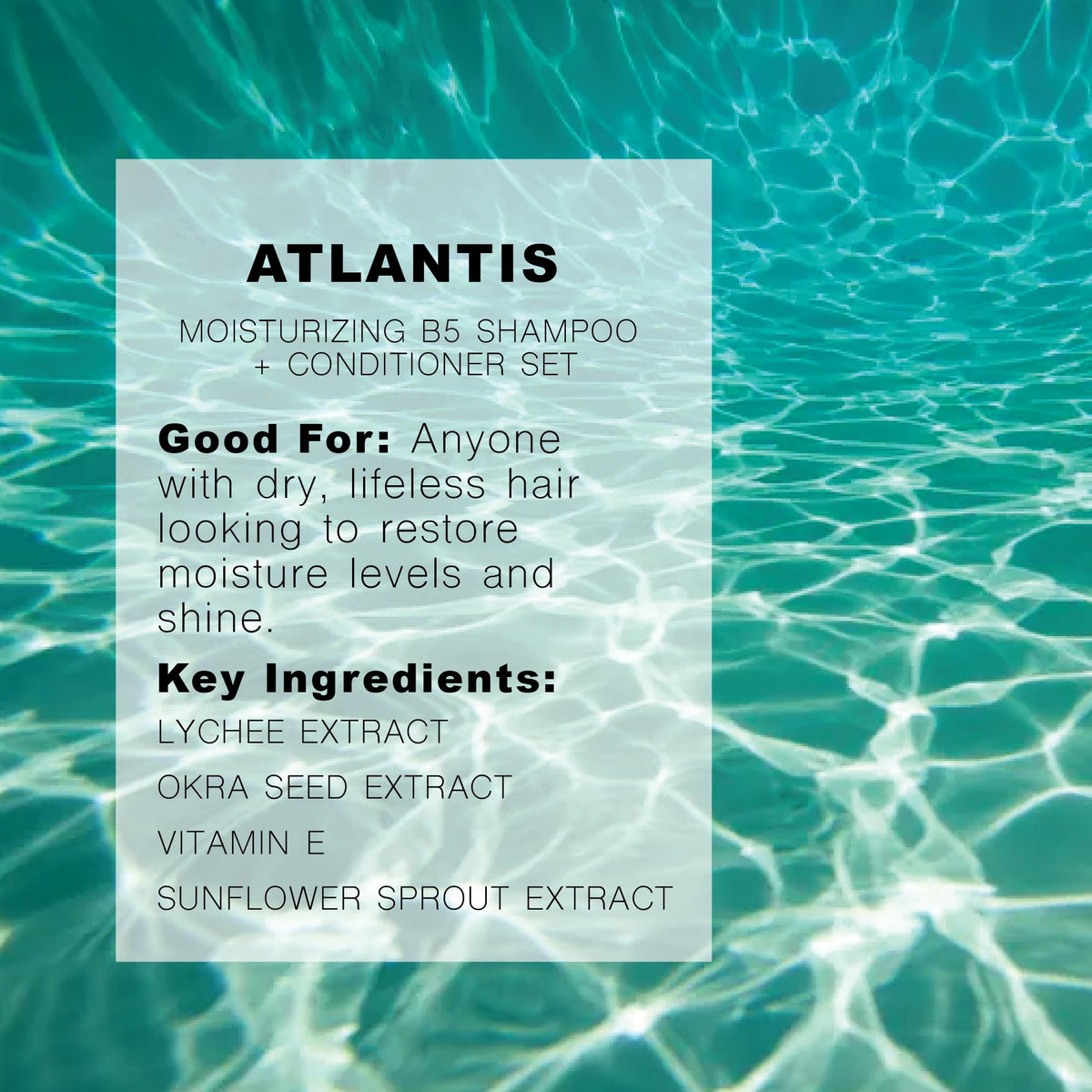 R+Co Atlantis B5 vegan and cruelty-free formulation label visible