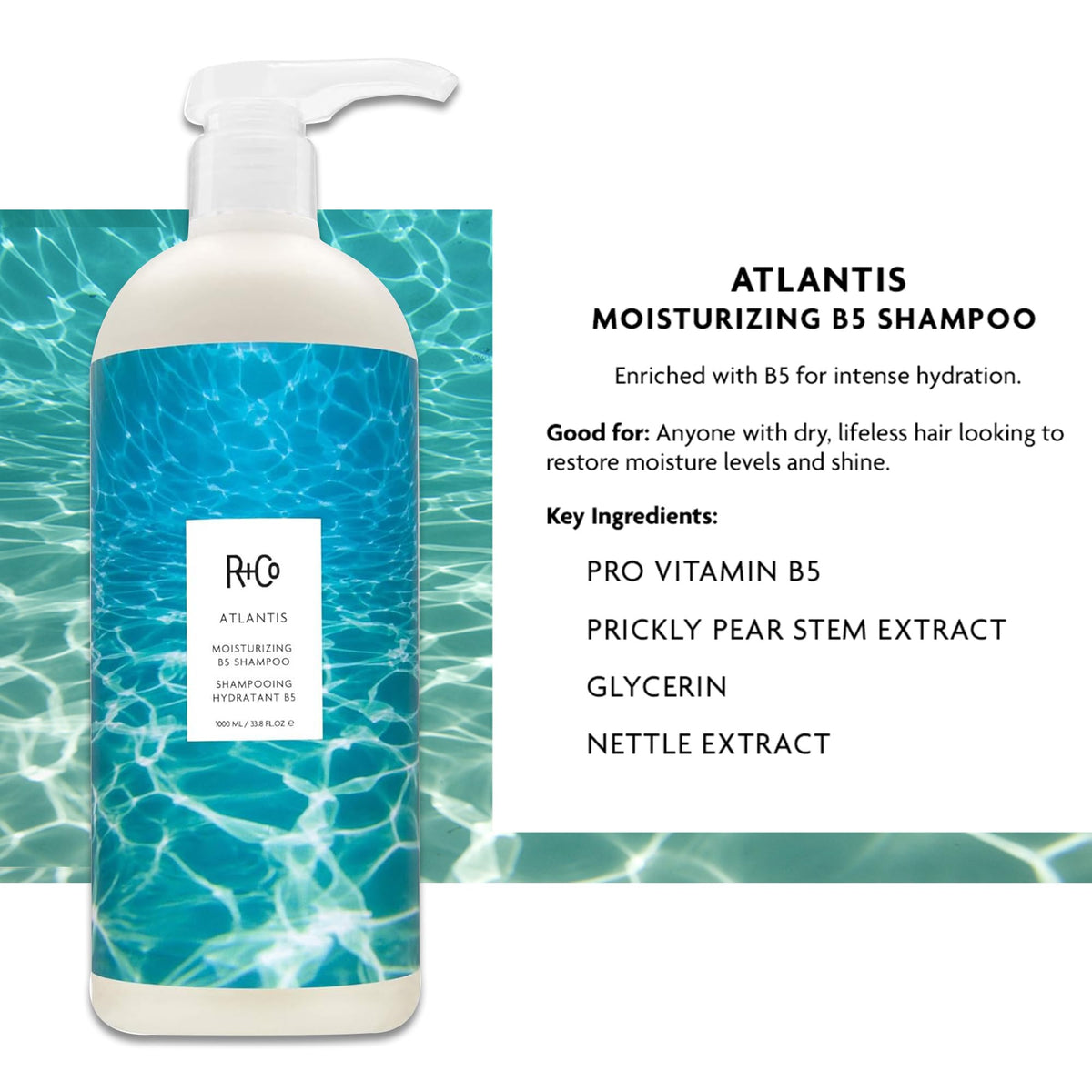 R+Co Atlantis moisturizing B5 conditioner bottle softening and detangling