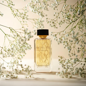 Rachel Zoe Fearless spray mist in action for balanced diffusion.