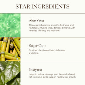 Rahua Aloe Hair Mousse airy foam texture enhances natural movement.