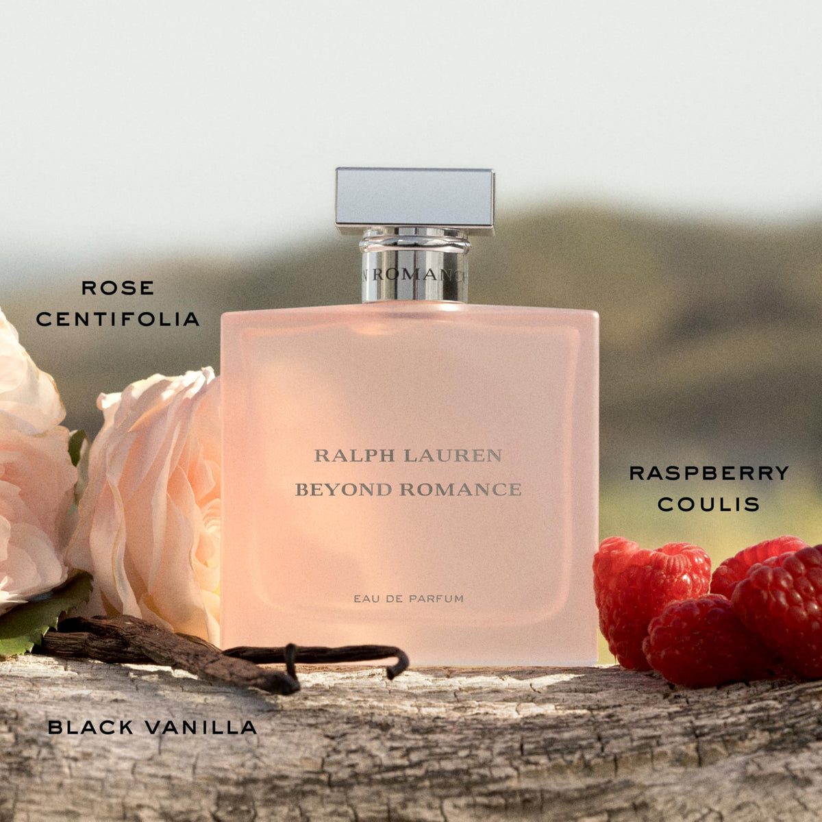 Ralph Lauren Beyond Romance rose-centifolia note illuminated, elegant floral core.