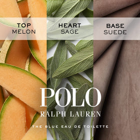 Ralph Lauren Polo Blue logo with Polo pony highlighting brand heritage