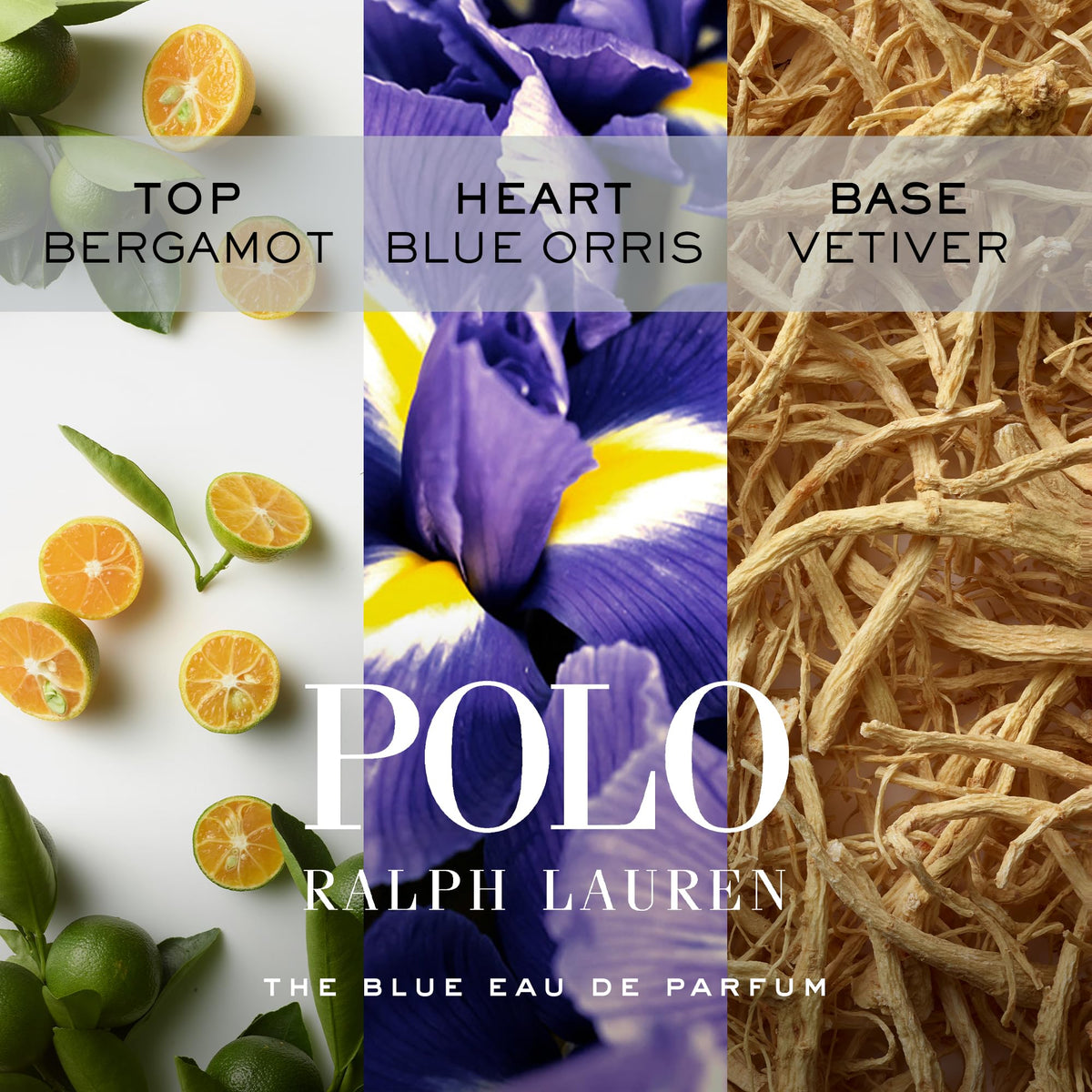 Ralph Lauren Polo Blue EDP outer box signaling premium packaging