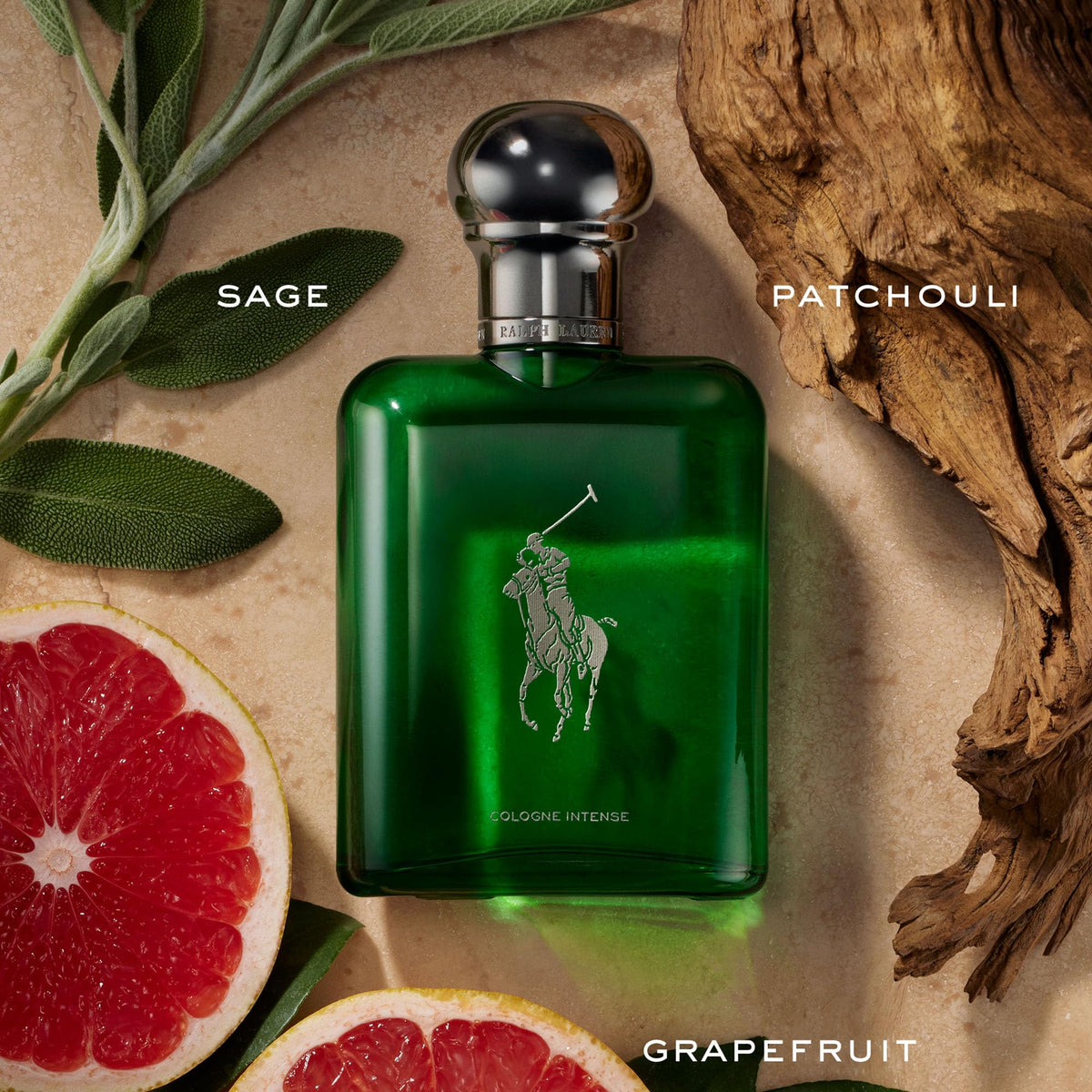Ralph Lauren Polo Intense bottle closeup cap highlights the gold-toned crown