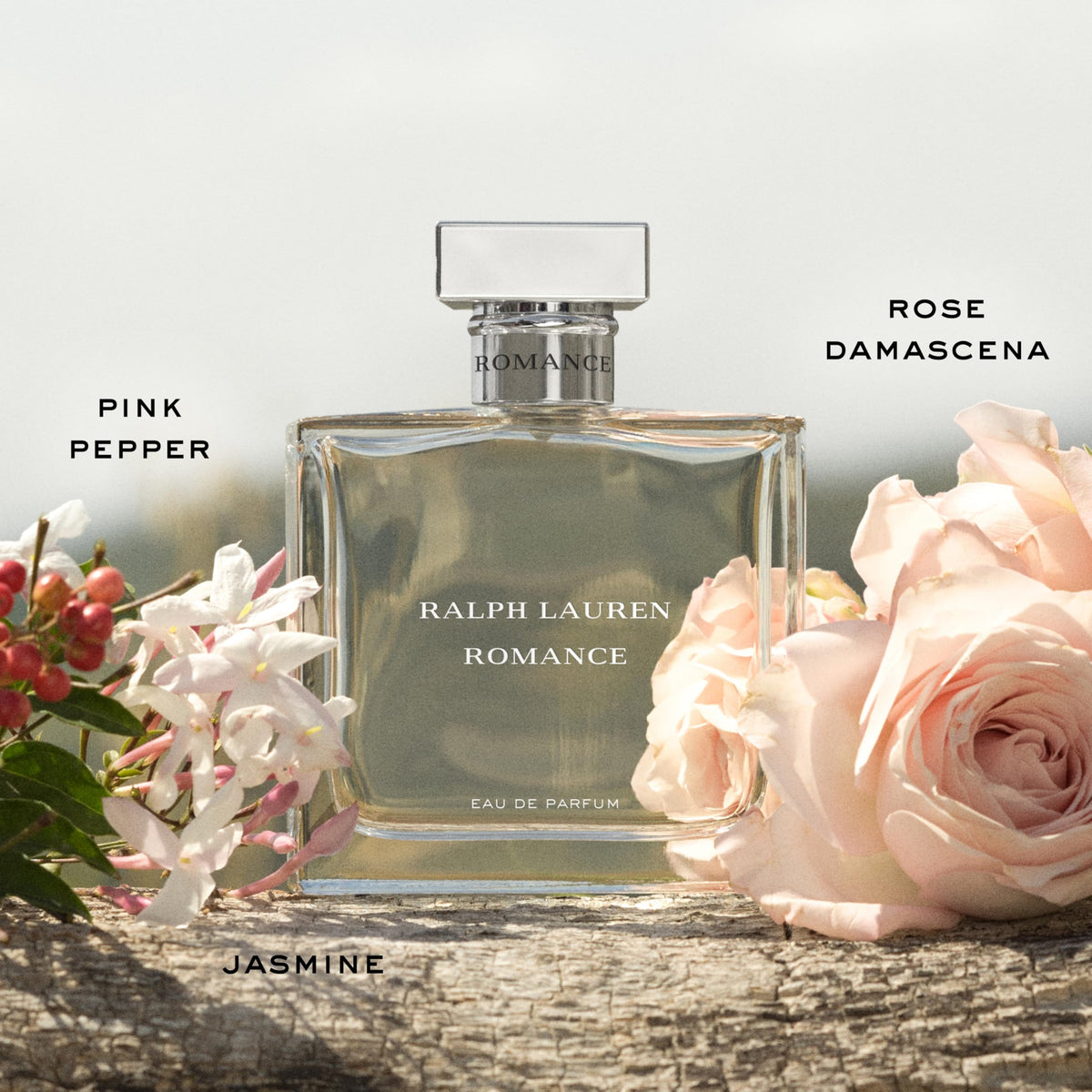 Ralph Lauren Romance rose damascena bloom closeup, highlighting romantic notes.
