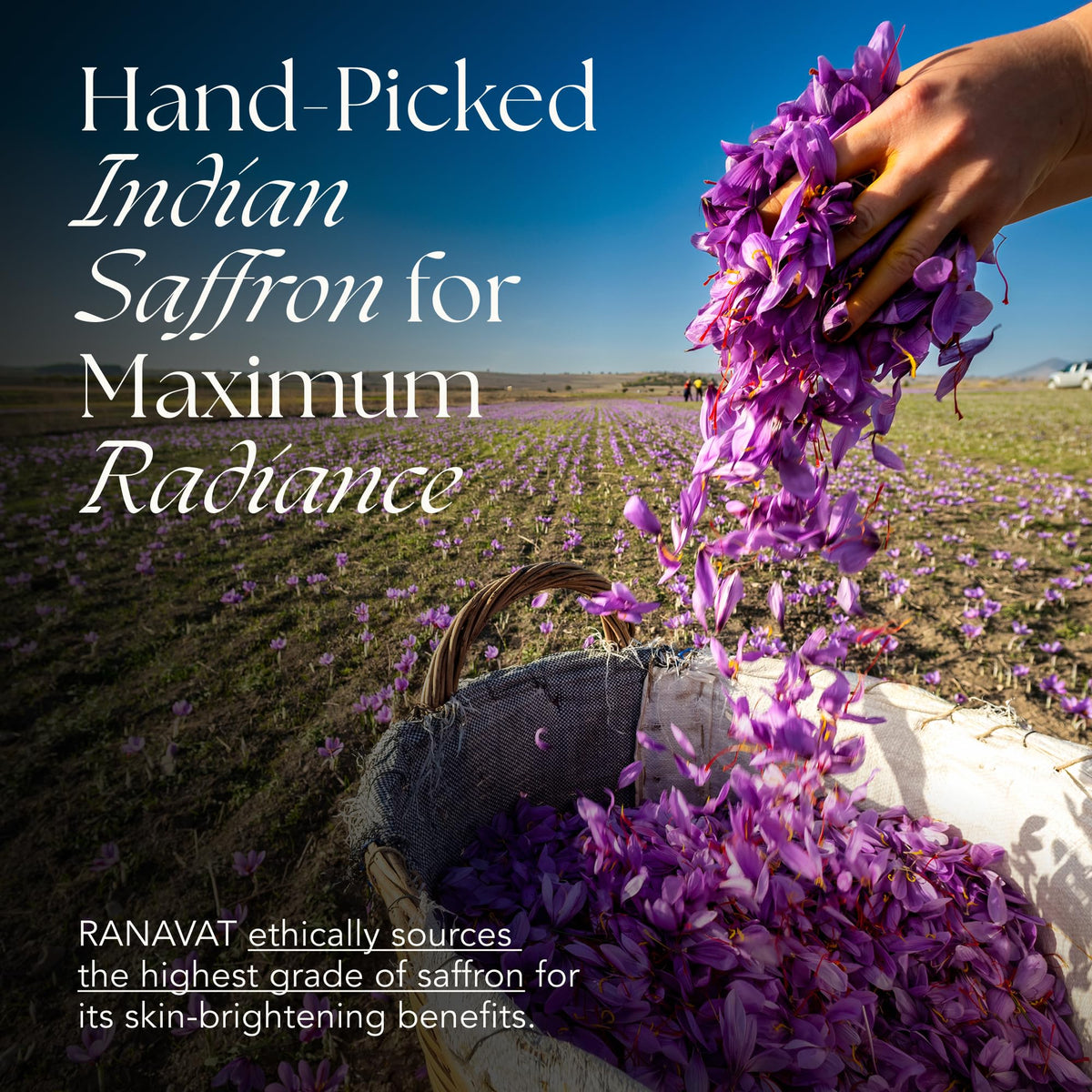 Radiant Rani applied on neck and décolleté for cohesive hydration.