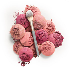 Ravie Beauty close-up dense bristles for pigment pickup