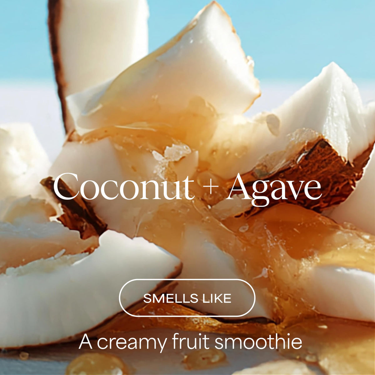 RAW SUGAR shampoo with coconut oil for smooth, frizz-prone strands
