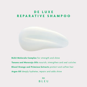 R+Co BLEU De Luxe Reparative Shampoo pour stream captures gentle cleansing