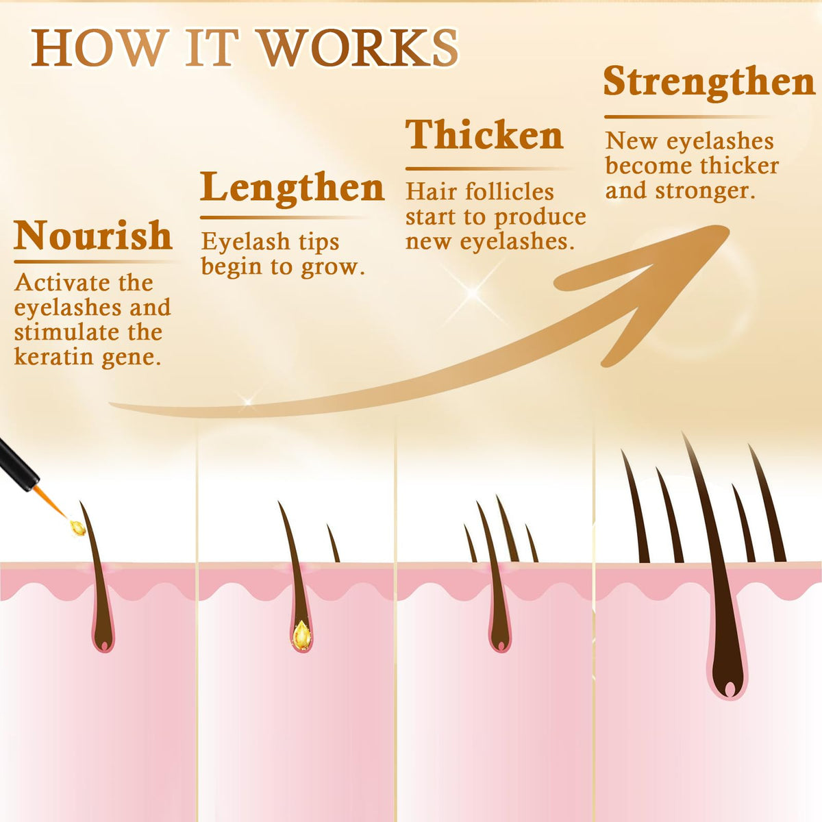 Recuren Plus application at lash base—easy daily use with a gentle formula.
