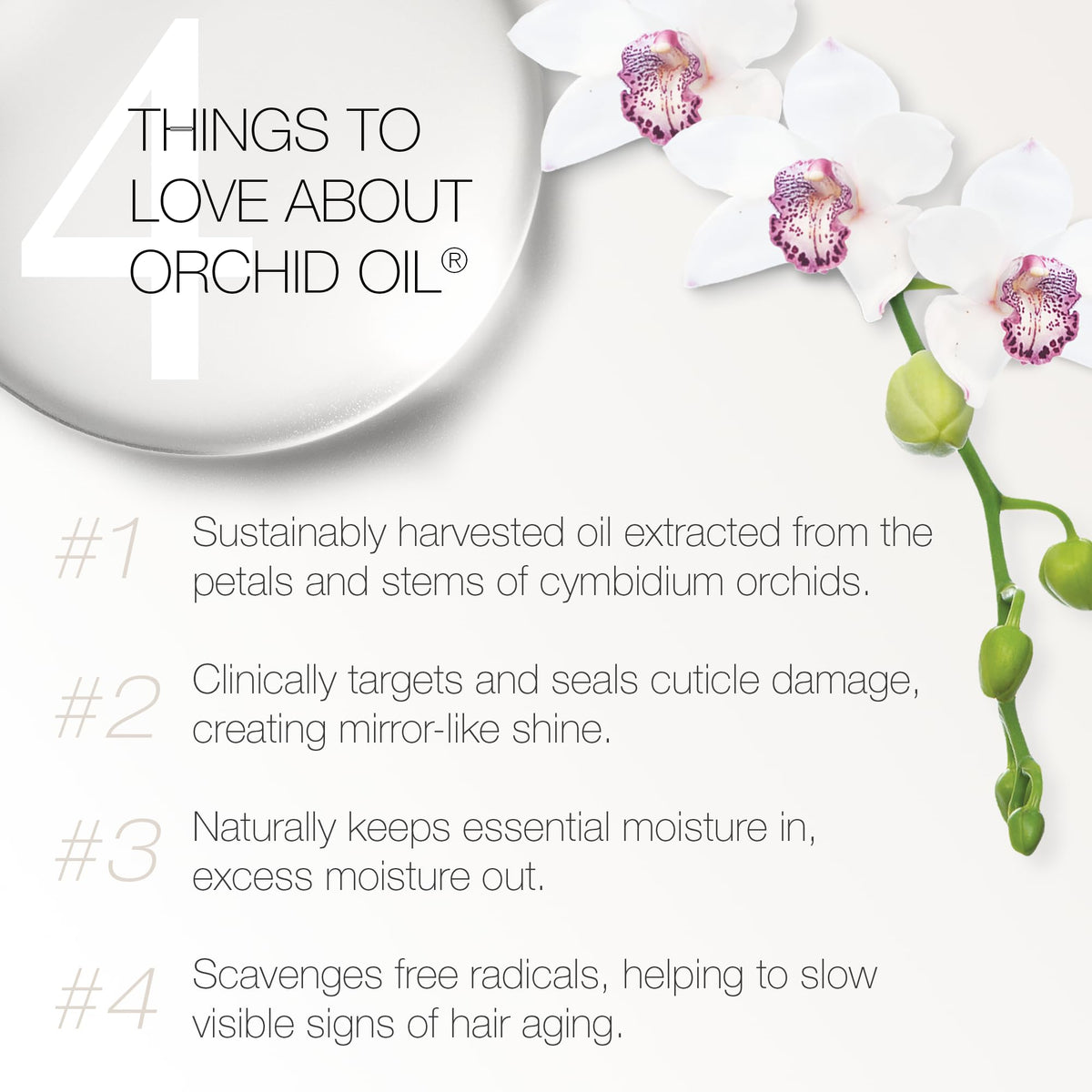 Redavid Orchid Oil ingredients featuring Cymbidium orchid complex for nourishment.
