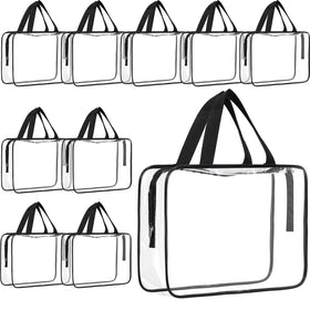 Reginary clear bag with zipper and handle offers quick visibility and secure storage.