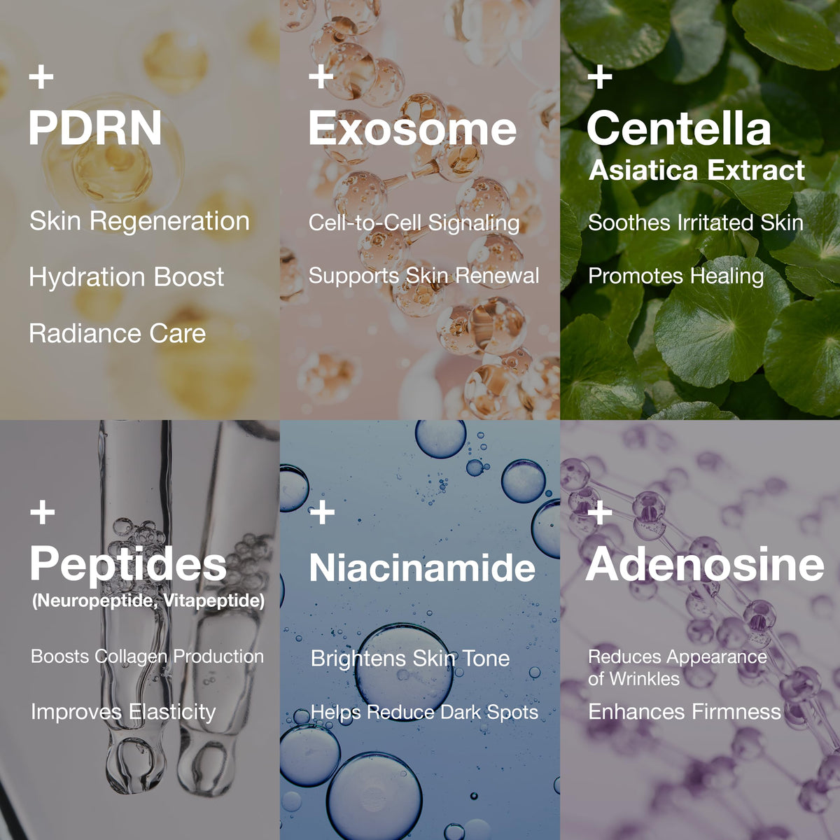 Rejuveon PDRN 1000 Plus Cream packaging display for easy skincare routine.