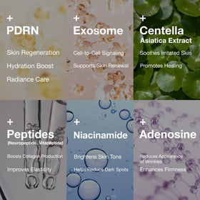 Rejuveon PDRN 1000 Plus Cream packaging display for easy skincare routine.