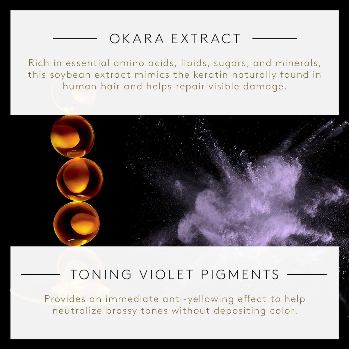 Rene Furterer OKARA Silver pour reveals violet pigments ready to refresh color.