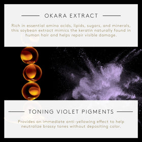 Rene Furterer OKARA Silver pour reveals violet pigments ready to refresh color.