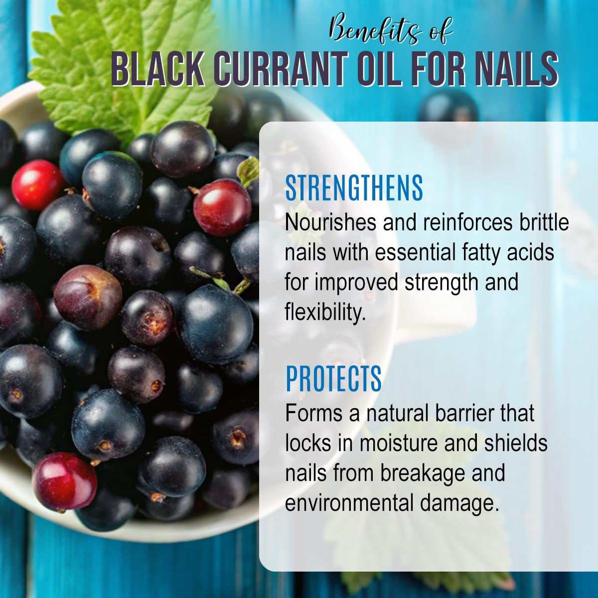 Renewalize carrier oil supports DIY face serums and balms.