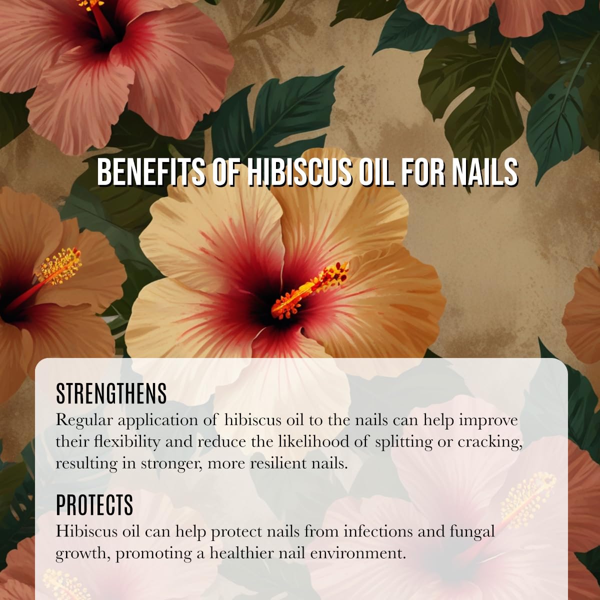 Renewalize Hibiscus Seed Oil ingredients reveal a nutrient rich profile for hydration