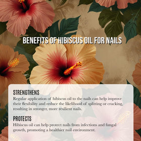 Renewalize Hibiscus Seed Oil ingredients reveal a nutrient rich profile for hydration