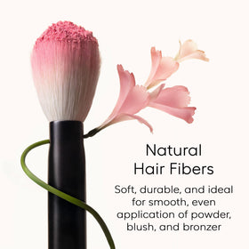 Rephr Brush 05 bronzer blending for seamless contouring.