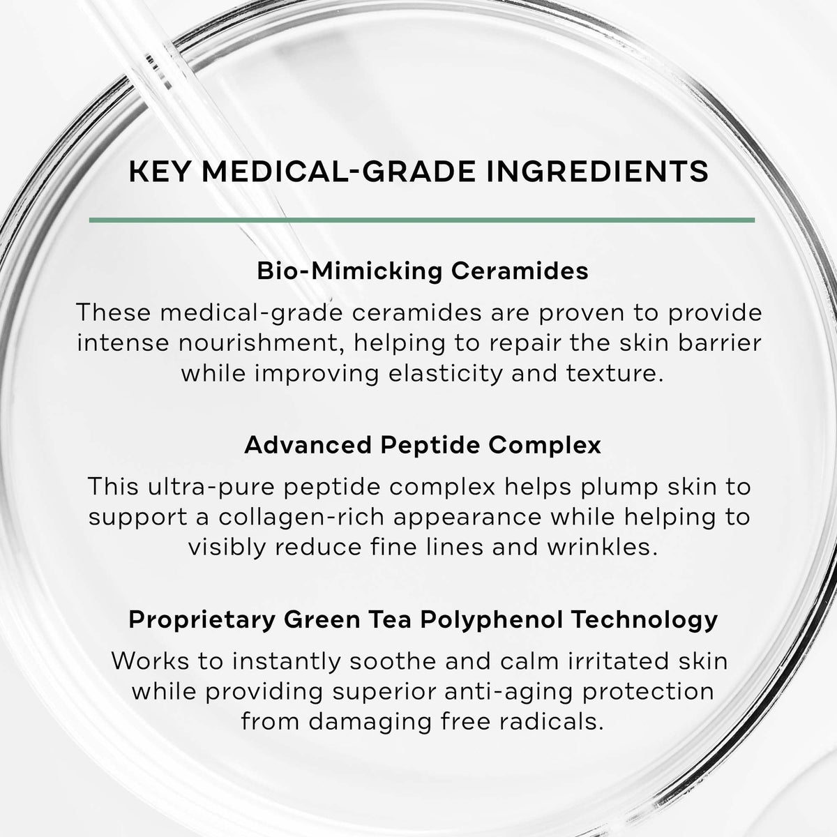 Open jar reveals ceramide-rich formula for nourishing skin barrier