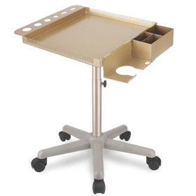 Retain Time champagne gold salon cart with wheels for easy mobility and tool organization