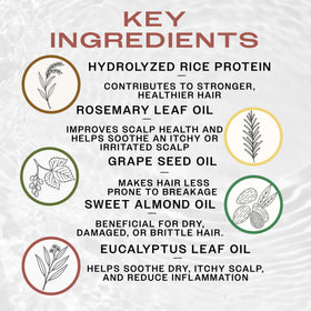 REUZEL Hydrating Style Cream hands-application demonstrates easy, leave-in use