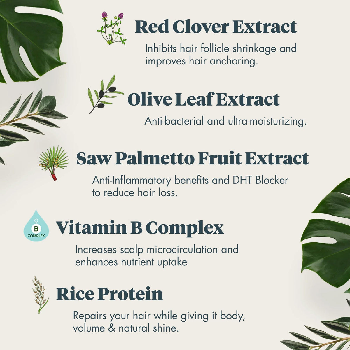REVIV3 PROCARE 3Step Ritual graphic showing a coordinated routine for healthier-looking hair