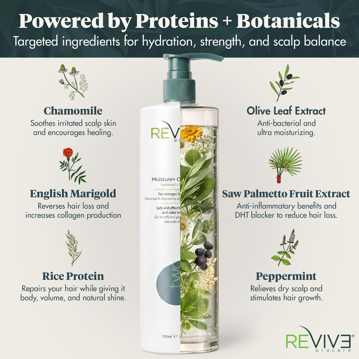 Reviv3 Procare Prime Moisture+ conditioner swirl with creamy texture for soft hair