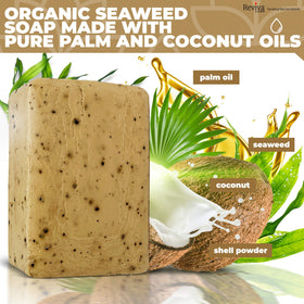 Reviva Seaweed Soap lathering cleanse for quick shower routines.