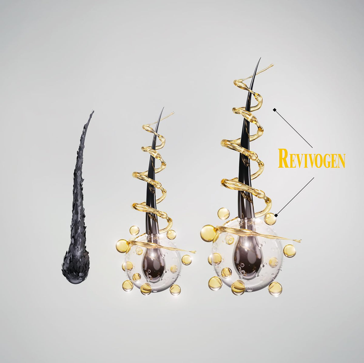 Revivogen MD Bio-Cleansing Shampoo and Thickening Conditioner set back view
