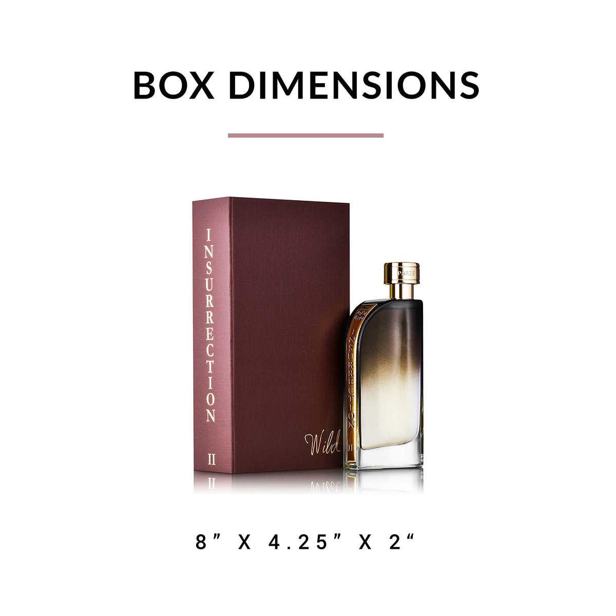 Reyane Tradition Insurrection collection packshots highlighting four fragrances