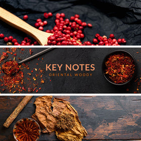 Reyane Tradition Insurrection Dark II base notes emphasize leather and vetiver.