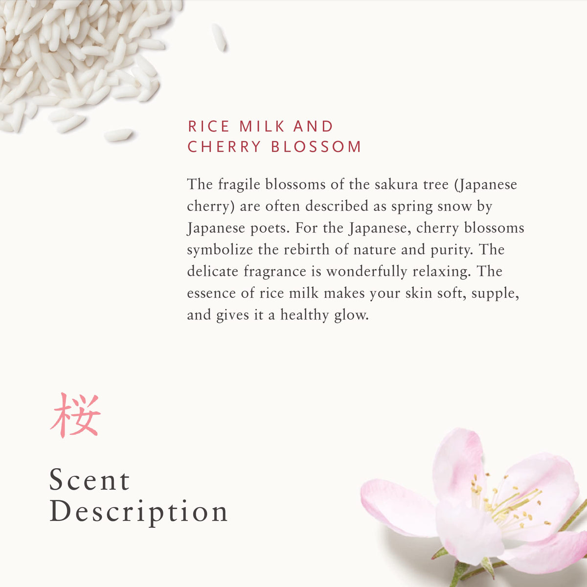 RITUALS Ritual of Sakura hands applying scrub on damp skin