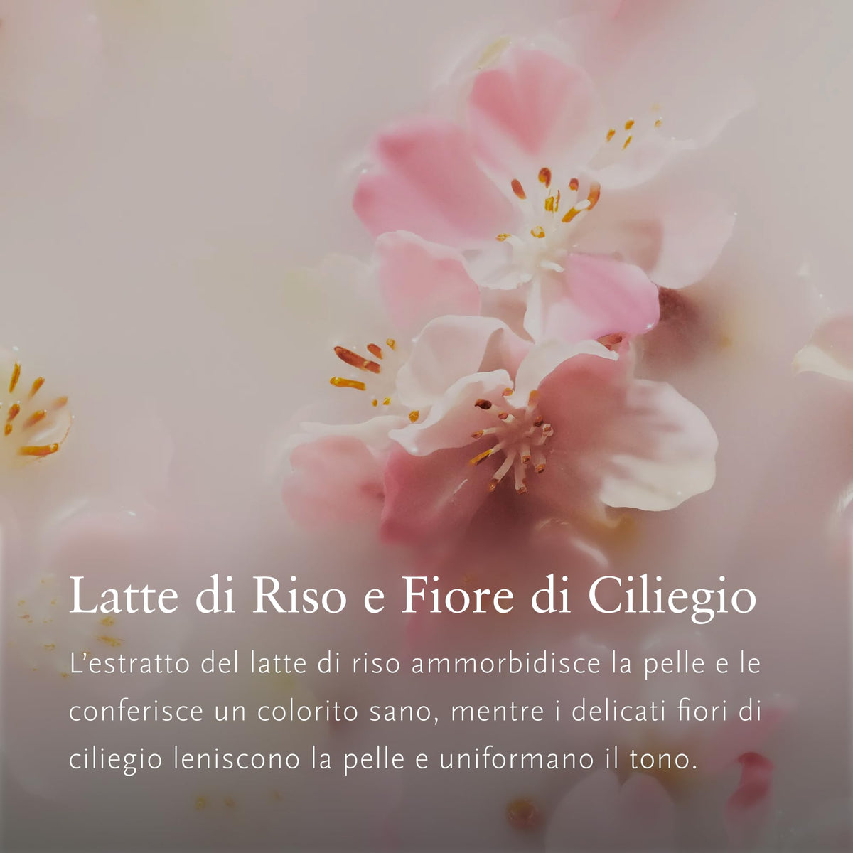 RITUALS Sakura cherry blossom fragrance evokes serene shower atmosphere