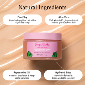 Rizos Curls Detox Scalp Aloe Vera leaf emphasizes soothing hydration for the scalp