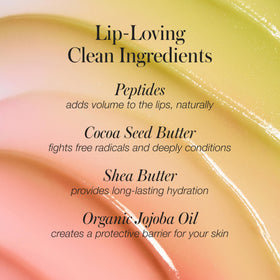 RMS Beauty Liplights Chameleon recyclable packaging highlights sustainability.